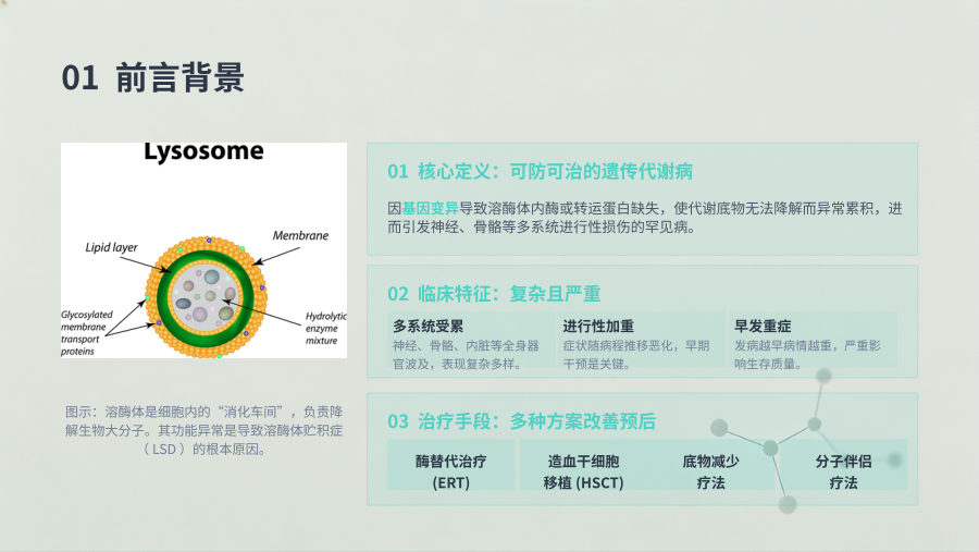 常见溶酶体贮积症新生儿筛查专家共识（2026） 第 3 页
