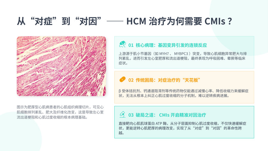 心肌肌球蛋白抑制剂药物治疗专家共识（2026） 第 2 页