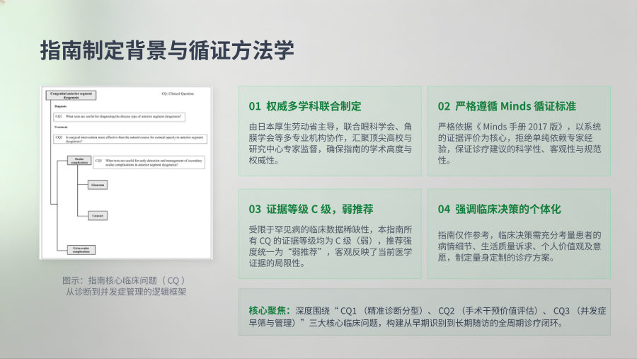 眼前节发育不良临床实践指南解读 第 3 页