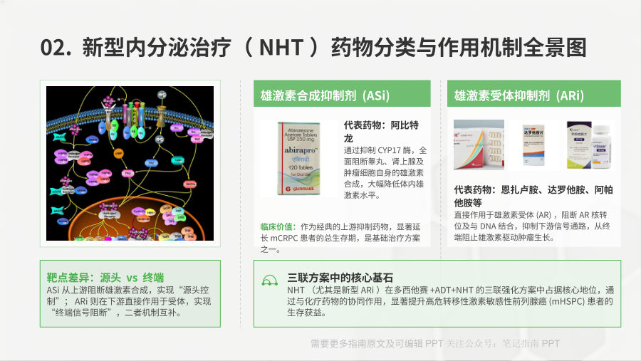 晚期前列腺癌应用新型内分泌治疗多学科管理专家共识（2026版） 第 3 页