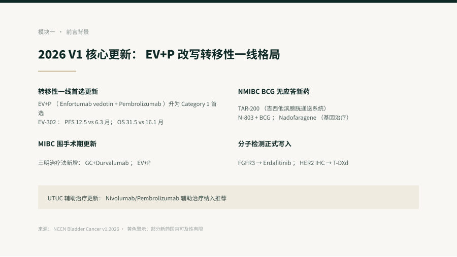 NCCN膀胱癌临床实践指南2026 V1解读 第 3 页