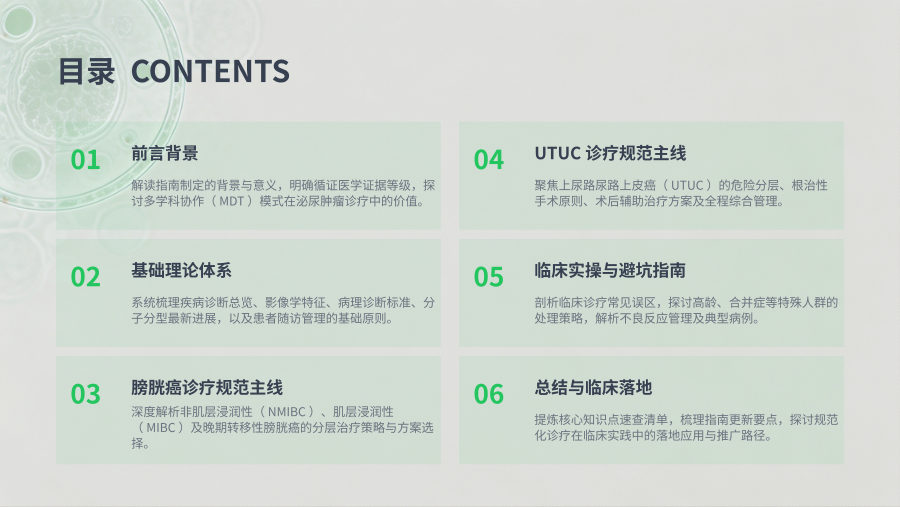 2026 CSCO尿路上皮癌诊疗指南解读 第 2 页
