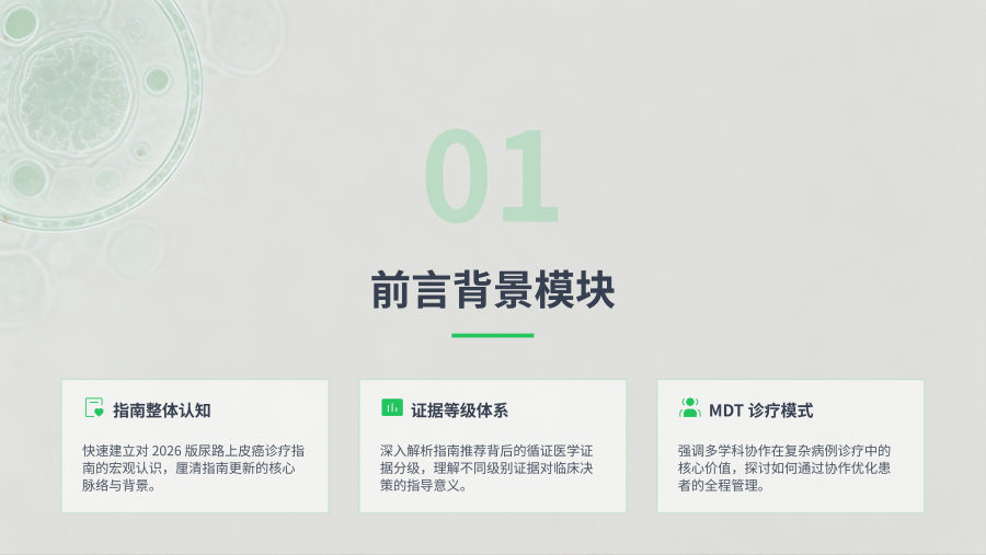 2026 CSCO尿路上皮癌诊疗指南解读 第 3 页