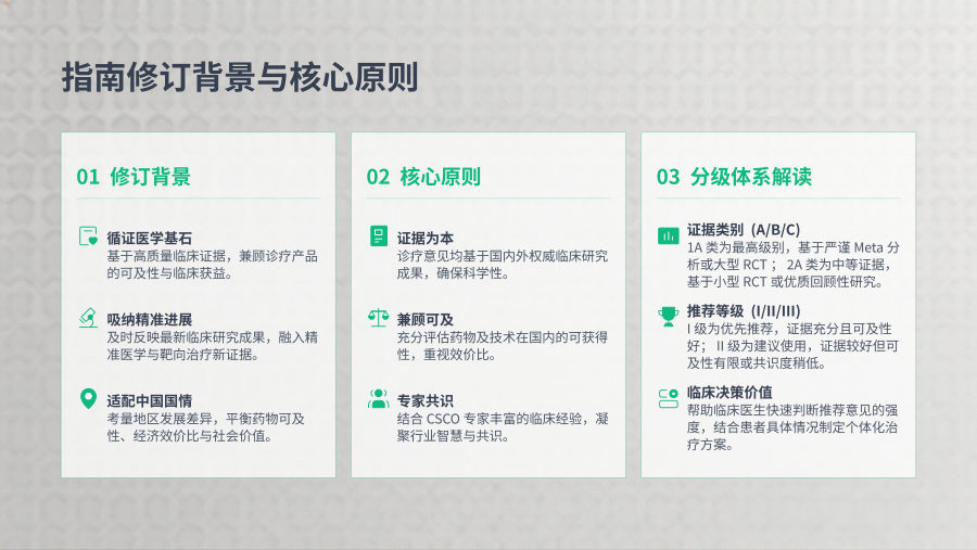 2026 CSCO非小细胞肺癌诊疗指南解读 第 3 页