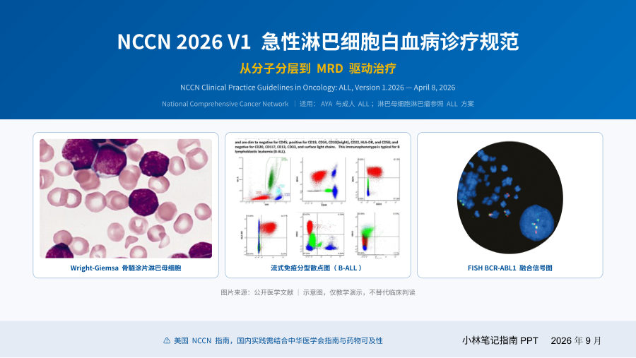 NCCN ALL 2026 第 1 页