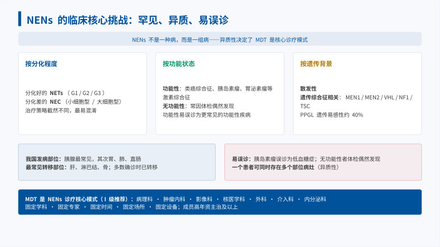 2026 CSCO神经内分泌肿瘤诊疗指南解读 第 3 页