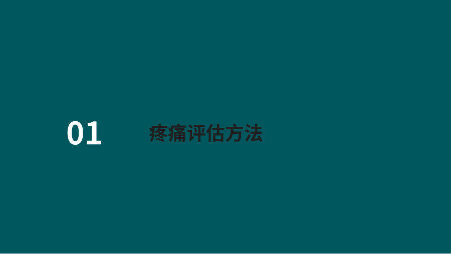 骨科疼痛评估与护理 第 3 页