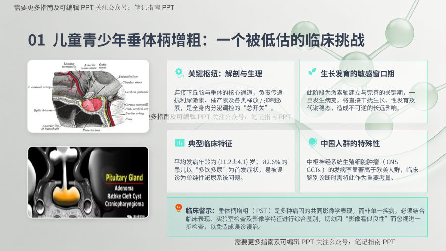 中国儿童及青少年垂体柄增粗多学科诊治指南（2026版）解读 第 3 页